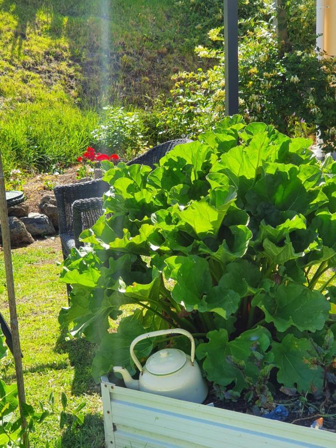 Kerikeri Blue Chair B&B 외부 사진